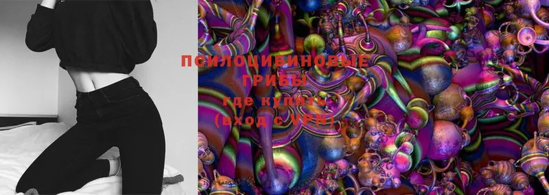 Галлюциногенные грибы Magic Shrooms  Ипатово 